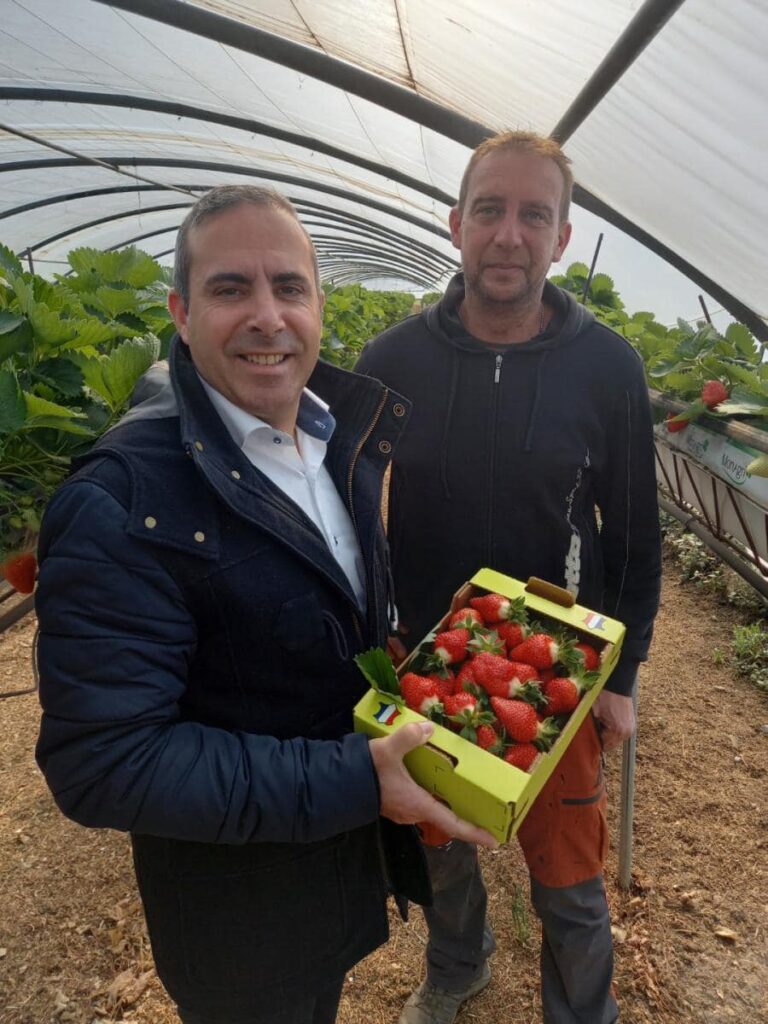 la plantation de Ferraro fraises de Carros de Christophe Ferraro