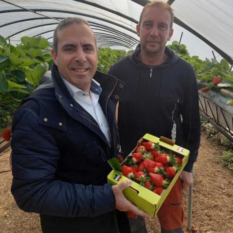Visite de la plantation de Ferraro fraises de Carros