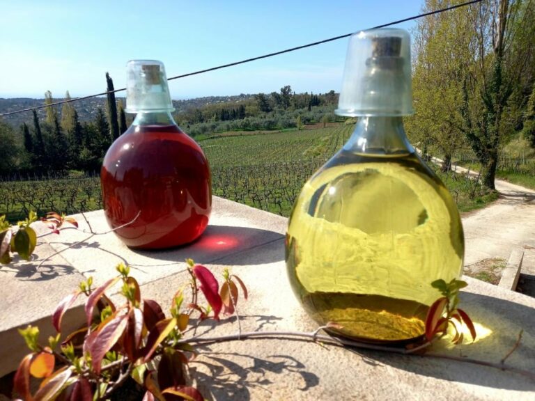Lire la suite à propos de l’article Vignoble des Hautes Collines de la Côte d’Azur – Le vin tuilé de Saint-Jeannet