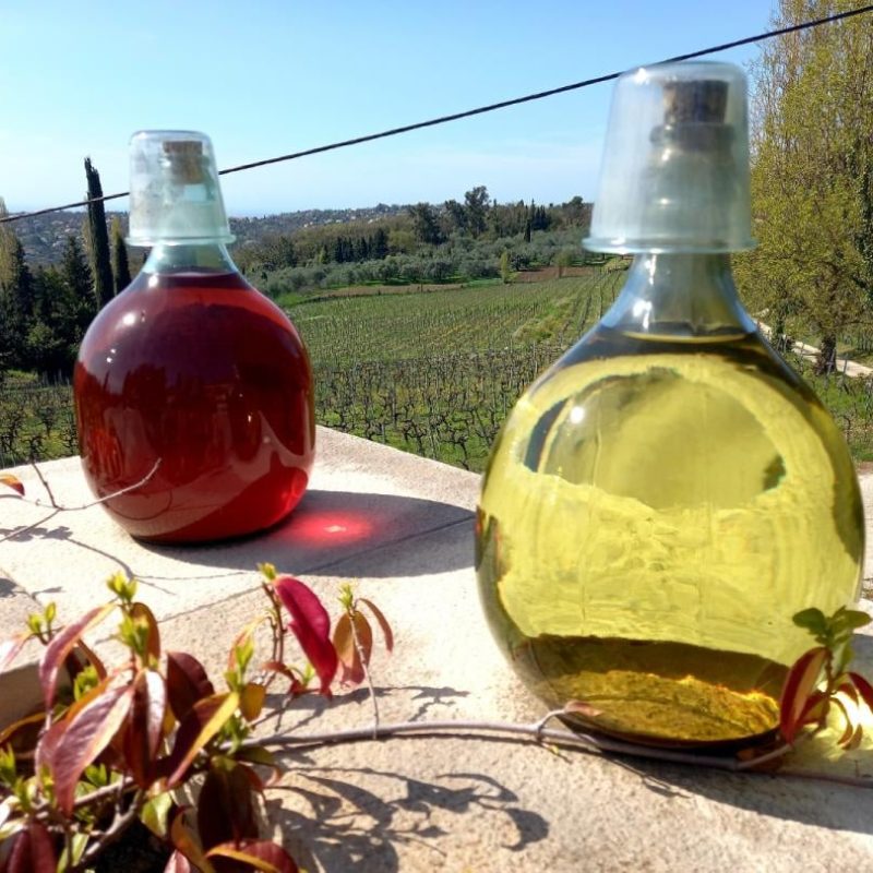 Vignoble des Hautes Collines de la Côte d’Azur – Le vin tuilé de Saint-Jeannet