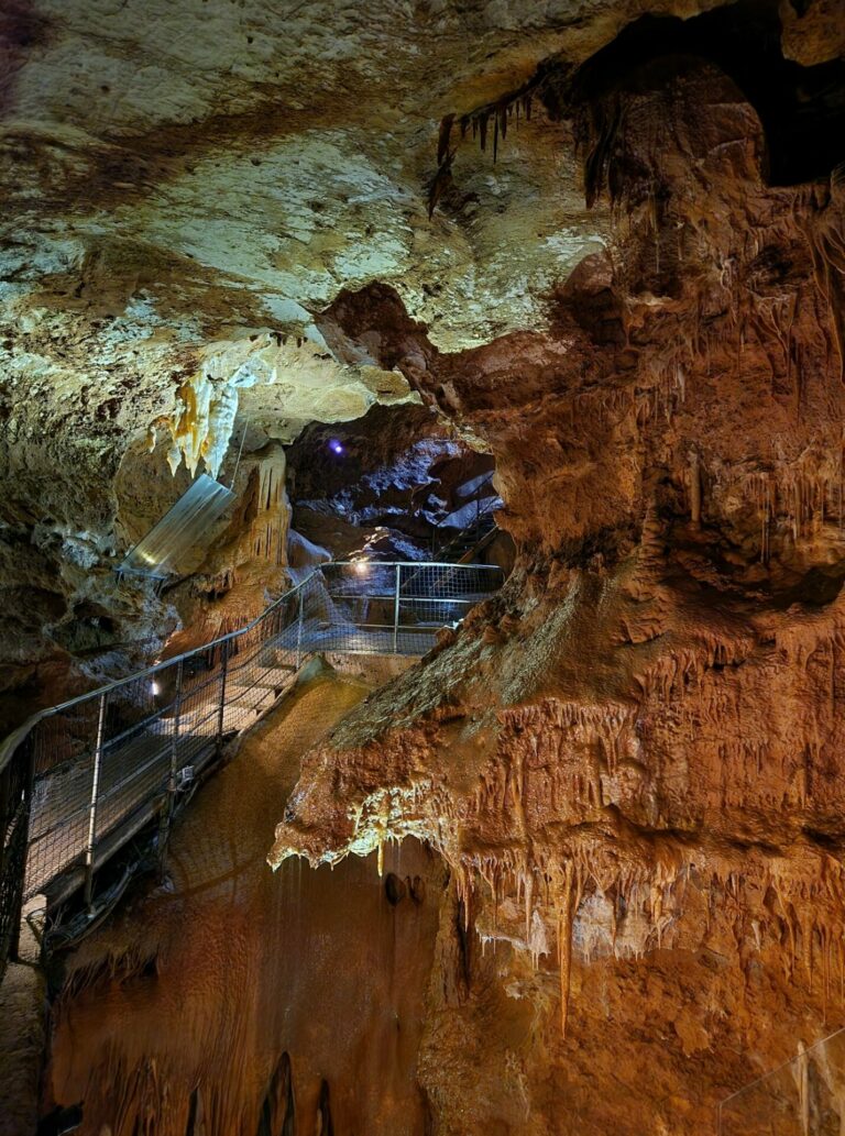 Lire la suite à propos de l’article Souterroscope de la Grotte de Baume Obscure à Saint-Vallier-de-Thiey