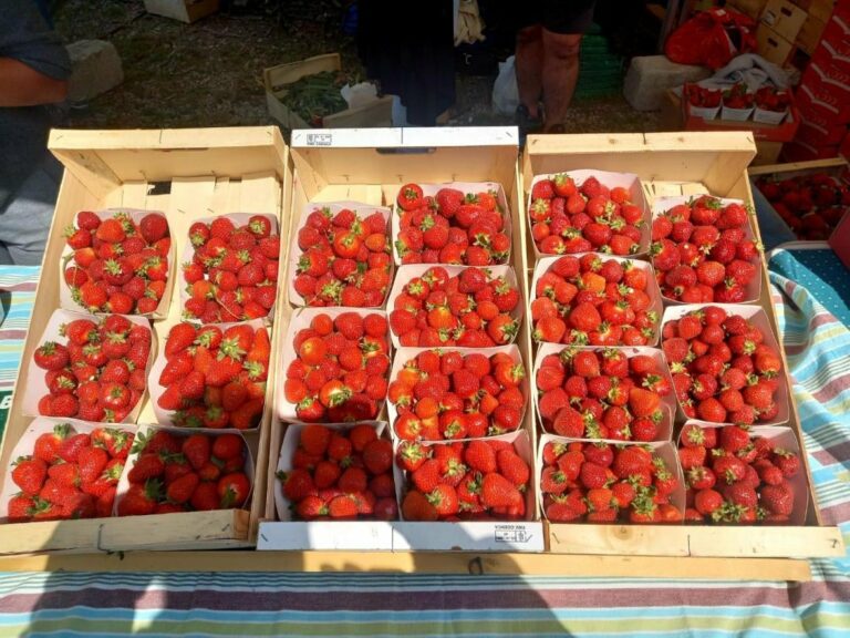 Lire la suite à propos de l’article Fête des fraises à Carros