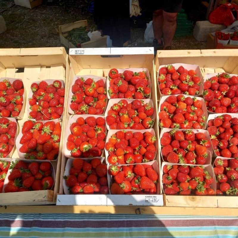 Fête des fraises à Carros